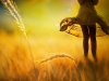 harvest-and-beauty-1440x900