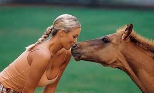 Kiss the horse