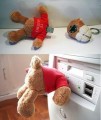 teddy bear design