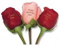 three beautiful roses Valentines day gift