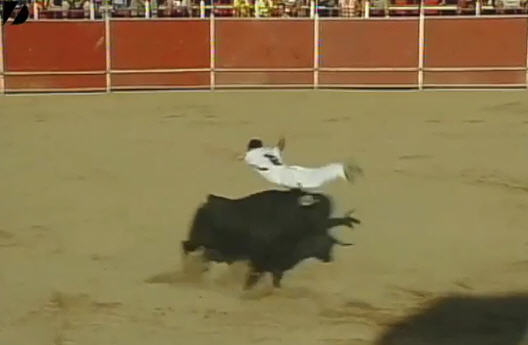 incredible bull jump