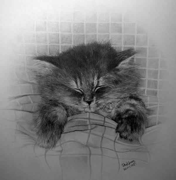 hyper realistic pencil drawings