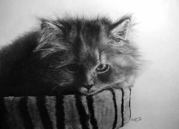 beautiful pencil drawings